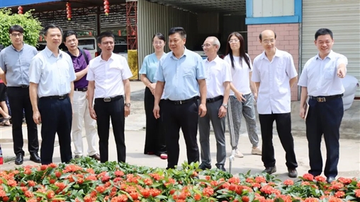 自治區(qū)政協(xié)常委、梧州市政協(xié)主席黃振饒蒞臨百裕集團走訪調研